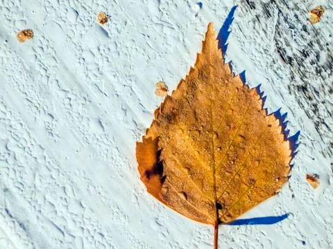 Natural background Stock Photos