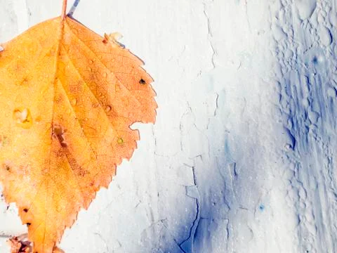 Natural background Stock Photos