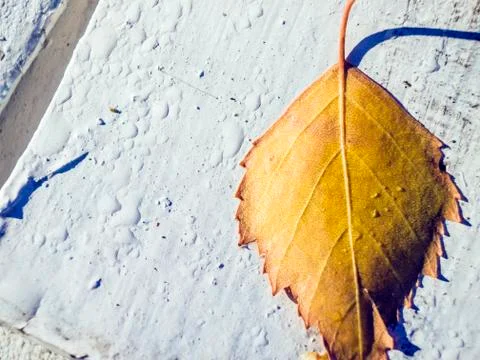 Natural background Stock Photos