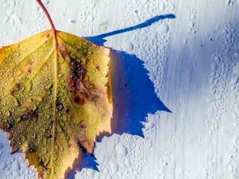 Natural background Stock Photos