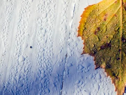 Natural background Foto stock