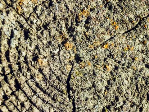 Natural background Stock Photos