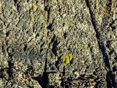 Natural background Foto stock