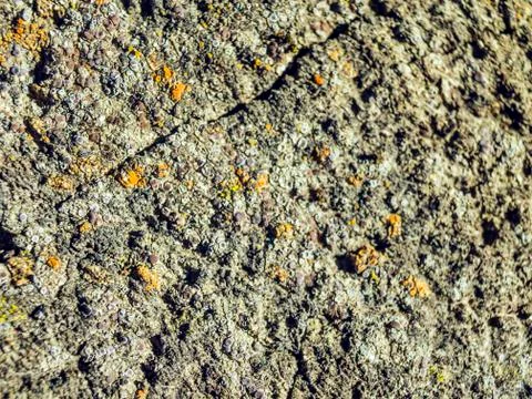 Natural background Foto stock