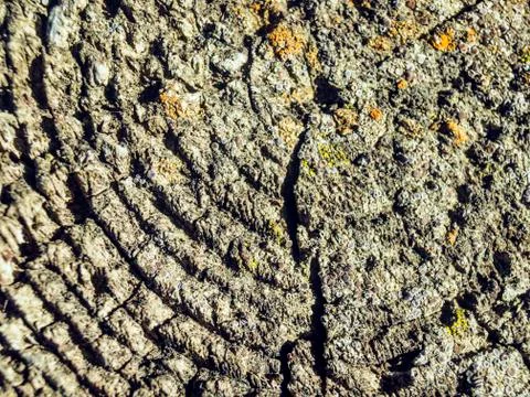 Natural background Stock Photos