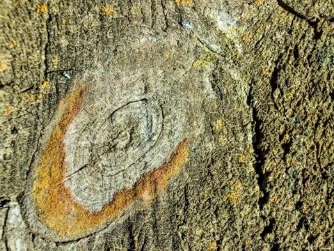 Natural background Stock Photos