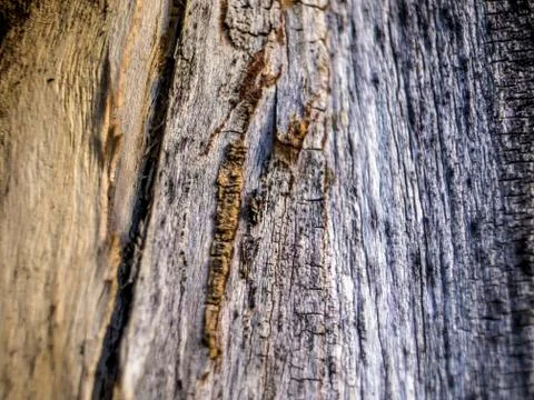 Natural background Stock Photos