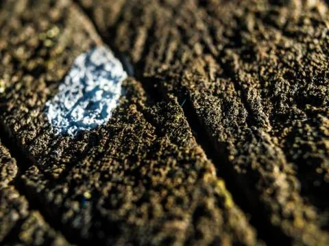 Natural background Foto stock