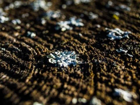 Natural background Stock Photos