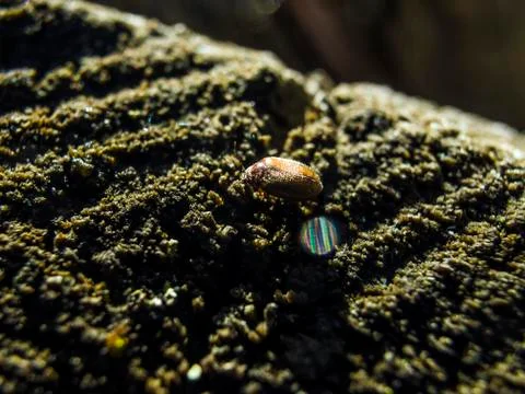 Natural background Foto stock