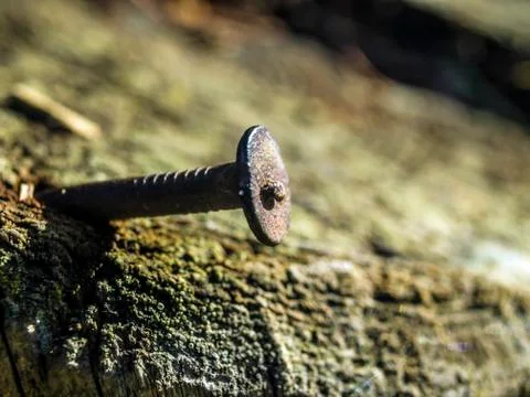 Natural background Stock Photos