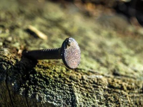 Natural background Stock Photos