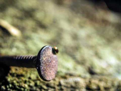 Natural background Stock Photos