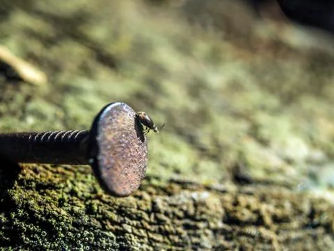 Natural background Stock Photos