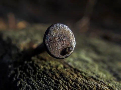 Natural background Stock Photos