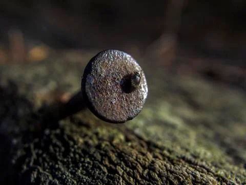 Natural background Foto stock