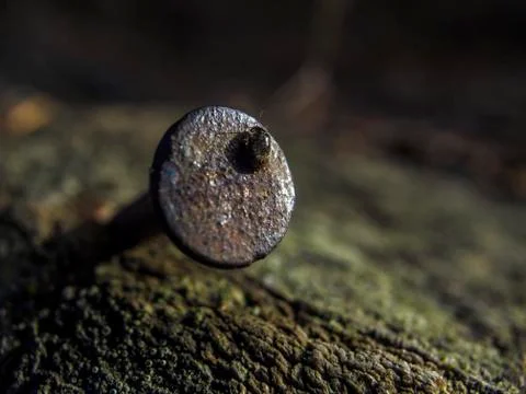 Natural background Stock Photos