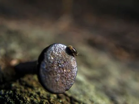 Natural background Stock Photos