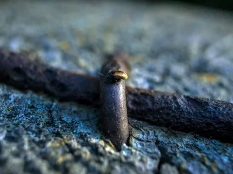 Natural background Stock Photos