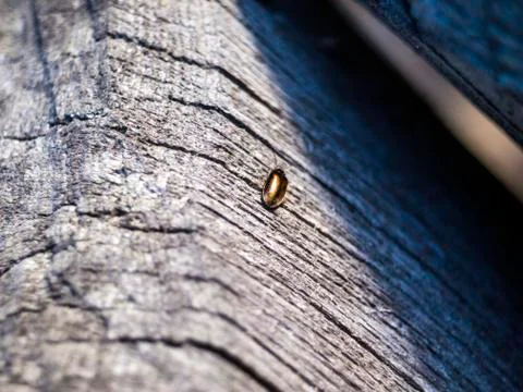 Natural background Stock Photos