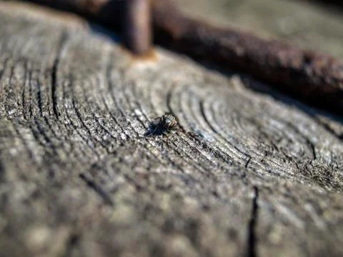 Natural background Stock Photos