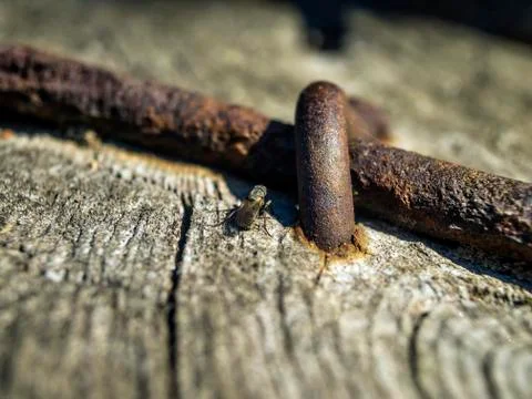 Natural background Foto stock