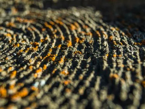 Natural background Foto stock