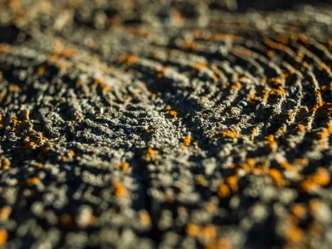 Natural background Stock Photos