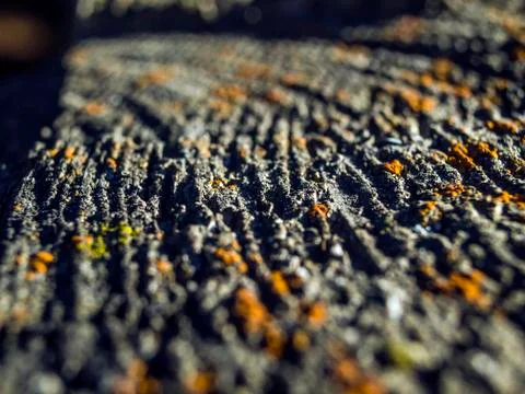 Natural background Stock Photos