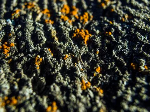 Natural background Stock Photos