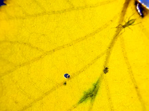 Natural background Foto stock