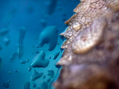 Natural background Stock Photos