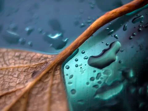 Natural background Stock Photos