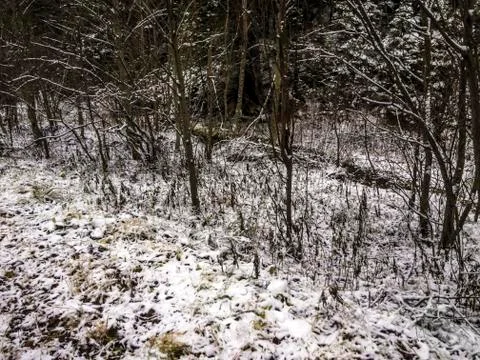 Natural background Stock Photos