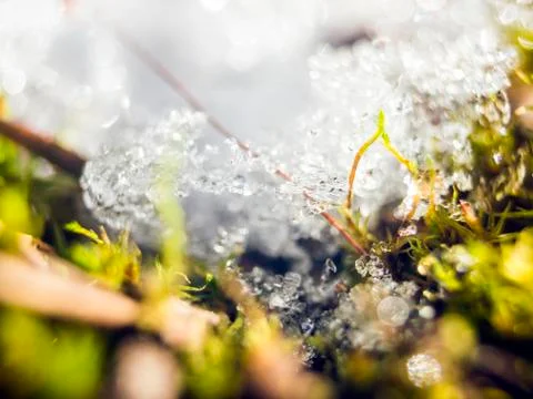 Natural background Stock Photos