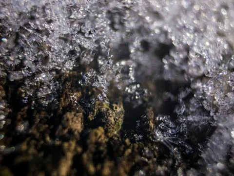 Natural background Stock Photos