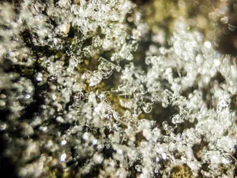 Natural background Stock Photos