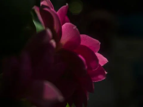 Natural background Stock Photos