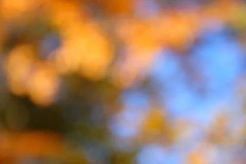 Natural background Stock Photos