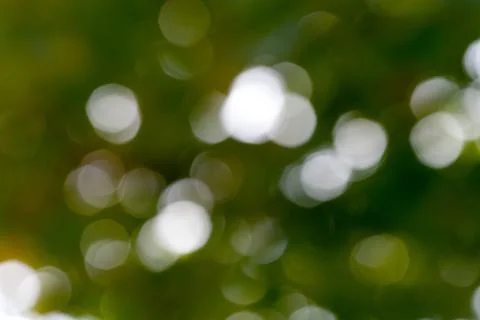 Natural background Stock Photos