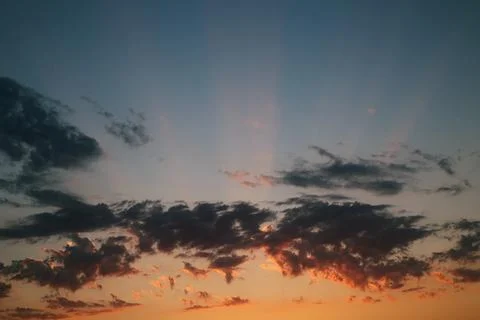 Natural background. Stock Photos