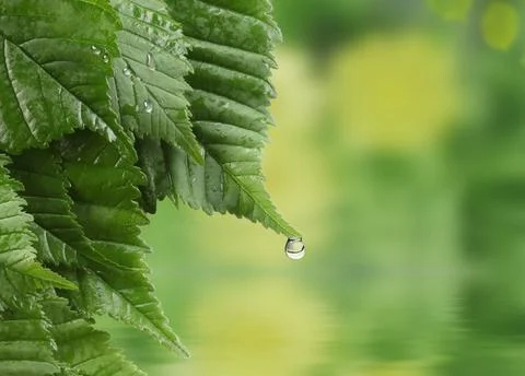 Natural background Stock Photos