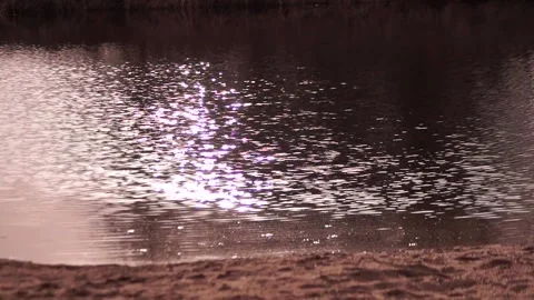 Natural background of the river, the pond with the reflection of the sun on Stock Footage 188975915