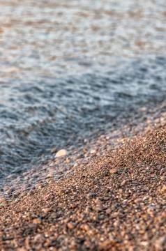 Natural background - sea shells 스톡 사진