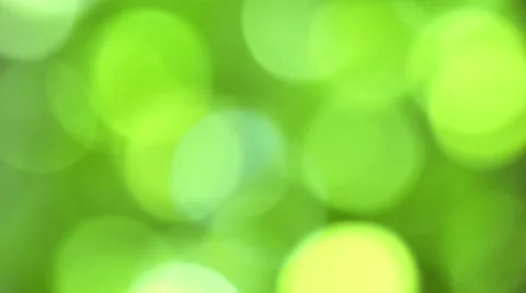 Natural background, spring, defocused view of the foliage. Bokeh Stock Footage 53770804