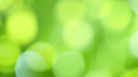 Natural background, spring, defocused view of the foliage. Bokeh Stock Footage 53771026