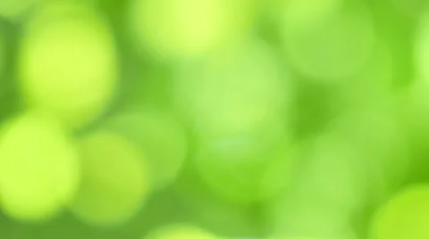 Natural background, spring, defocused view of the foliage. Bokeh Stock Footage 53771146