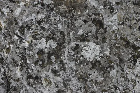 Natural background with a stone and the moss Stock Photos