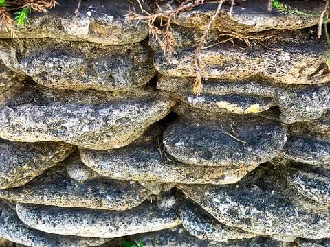 Natural background - stone texture. Stock Photos