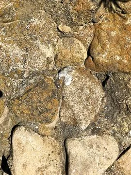 Natural background - stone texture. Stock Photos